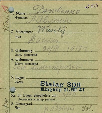 Павленко Василий Николаевич