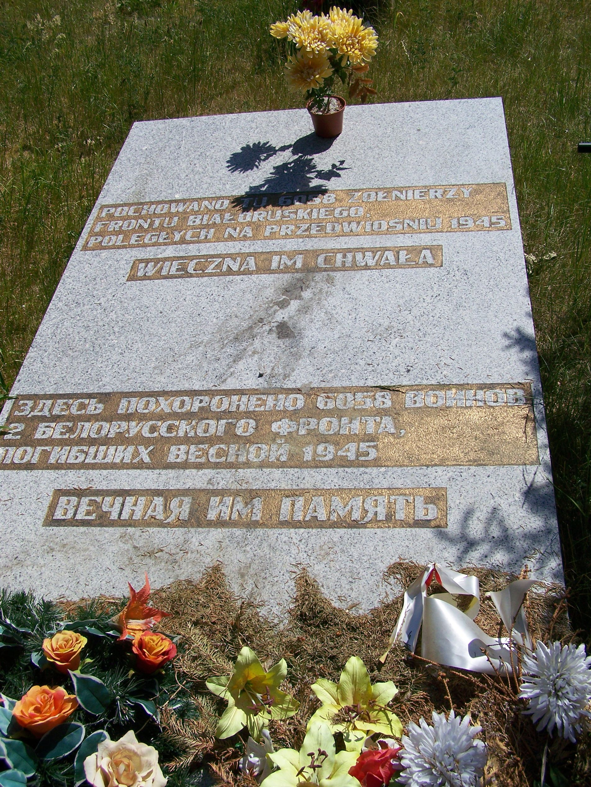 Воинское кладбище в с. Бояно