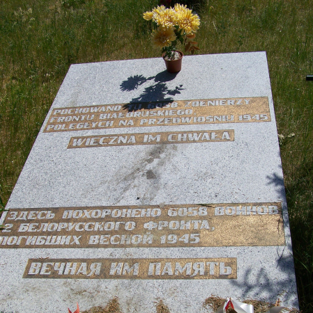 Воинское кладбище в с. Бояно