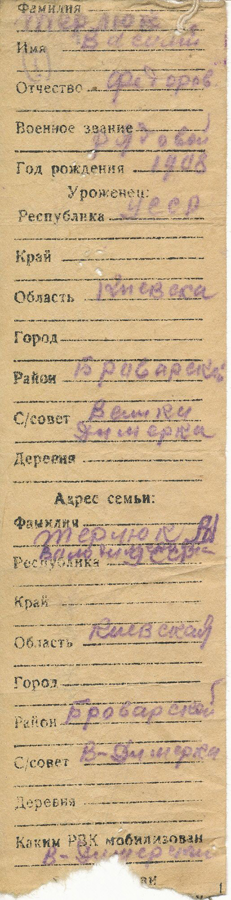 Терлюк Василий Федорович